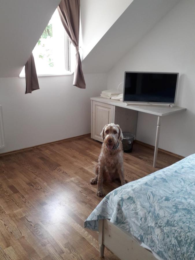 Rosenberg Kuria Bed & Breakfast Taplanszentkereszt ภายนอก รูปภาพ